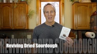Dry Sourdough Starter Activation