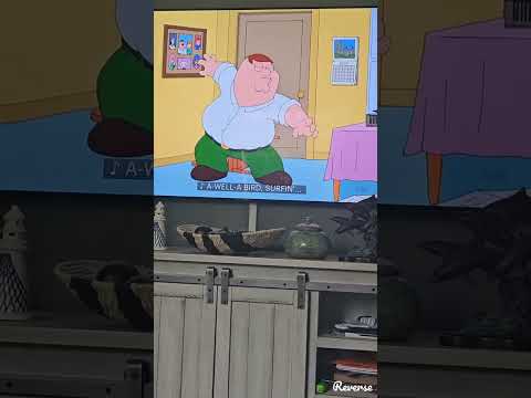 Family guy bird is the word scenes reversed