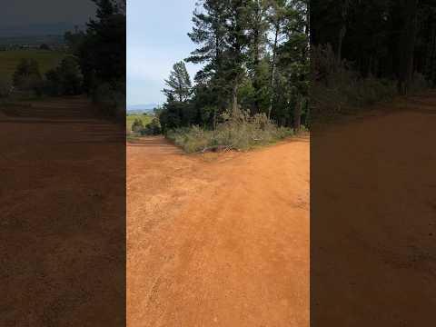 Paradyskloof intersection