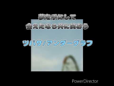 【歌ってみた】ツバサ/アンダーグラフinカラオケ#shorts