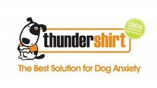 ThunderShirt - Classic Dog Anxiety Jacket