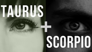 Taurus & Scorpio: Love Compatibility