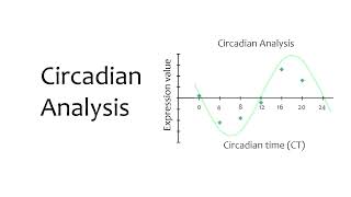 Circadian Transcriptomics Dry Lab (Part 3 of 4) - Differential Expression & Circadian Analysis
