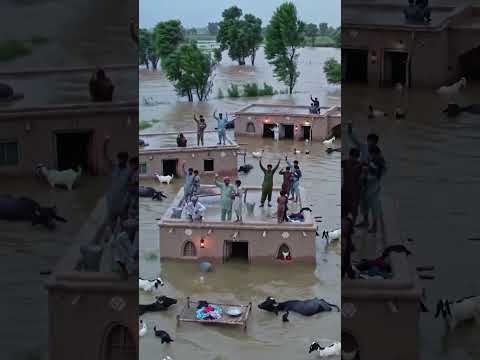 "Silent Struggle:A Village Flood Survival Journey "#villageflood #HumanSurvival #villagelife