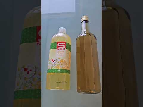 šampon