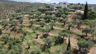Land with view to Megali Mantineia, area 2694 sq.m., buildable (builds 186 sq.m.)