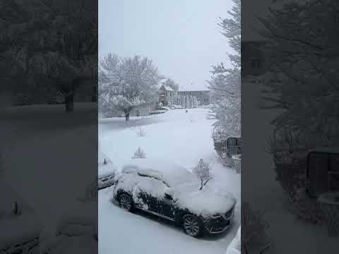 3rd snow in Haverhill, Massachusetts 2024 #foryou #snowfall