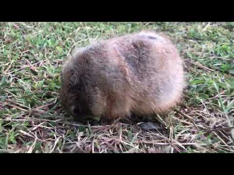 ใส่เดี่ยว Ep2