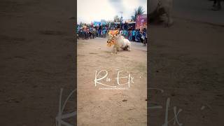 🤯SUBSCRIBE TO ALL 🥵#like #bull #comment #trending #video #views #viral #shorts #support #eruthukattu