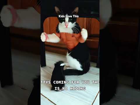 imagination too the max big kitty nice kitty #anxiety #singersongwriter #greenscreen #kidsvideo