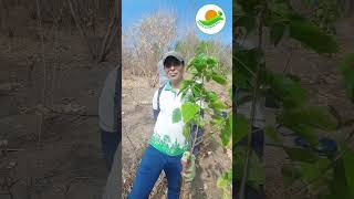 #salutetoheroes of #operationsindoor