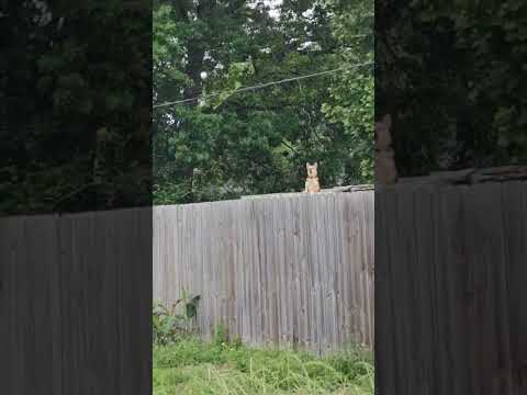 I see you!