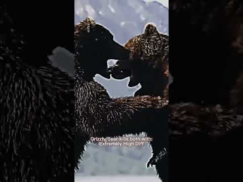 Animals that could kill lion and tiger