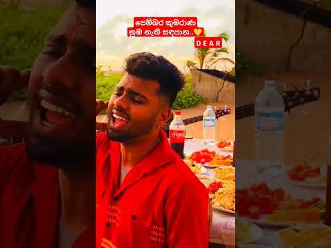 කොහොමද ඉතුරු ටික..😳 දෙපාරනම් බලනවාමයි 🤗 #dear #trending #shorts #viralshort #tiktok #srilanka #song