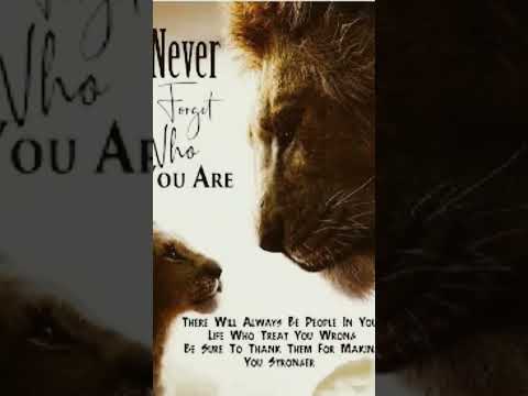 never forget who you are