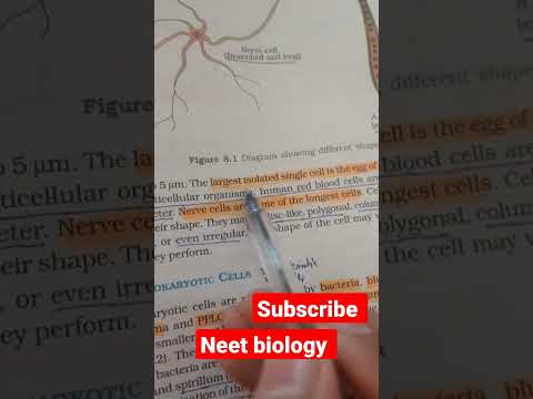 Ace your Biology NEET exam with these practice MCQs