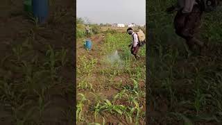 రైతు కోసం Subscribe చేయండి please 🙏 #pullapavankumar #motivationalsong #music #ramuafarmer #virally