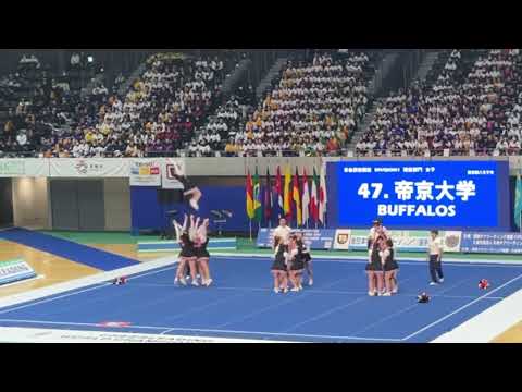 第35回全日本チアリーディング学生選手権大会【DIVISION.1帝京大学】2023.11.25〜11.26