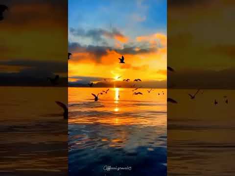 kaash tere isq me nelllaaam ho jaye #ishq  #trending #shots #youtube