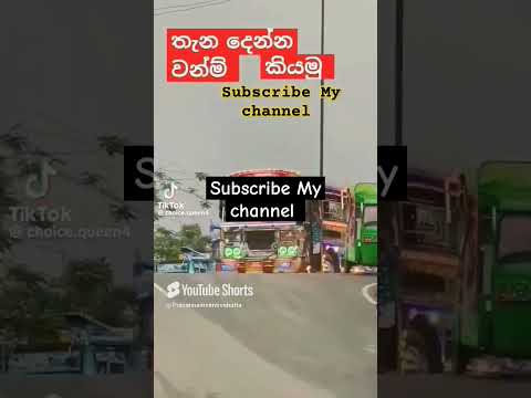 මොණර කිරිල්ලී (Monara Kirilli) ™®©