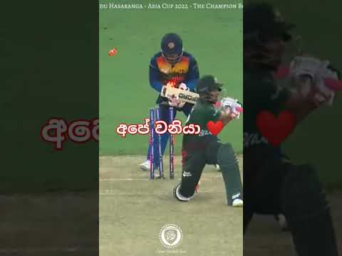 වනියගෙ වැඩකිඩ | Wanindu Hasaranga ❤️🤗🤗 #iplt20 #srilanka #ipl