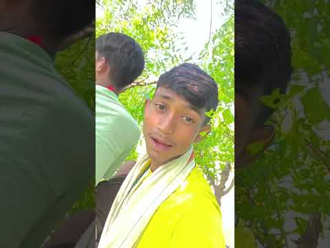 song #new #song Dhiraj rana song #love #dosti #tree 😎😎😎 #motivation #2025 ped per Banaya video 1234