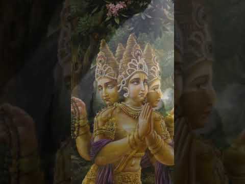 Story of Kanchi Kamakshi #templetales #temple #kanchipuram #stories #shakti #devotional #india
