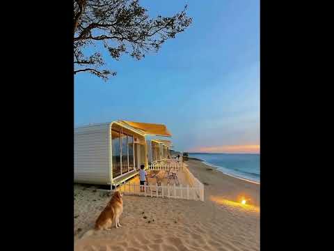🐕a cheeky golden retriever🐕#BlocNEST#prefabhouse #containerhome #tinyhouse