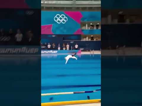 The cat's diving posture will stun Olympic athletes! 🐾💦#cat #olympics