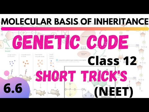 Genetic Code |6.6| MOLECULAR BASIS OF INHERITANCE| NEETTRICK | NEET SHORT TRICK'S| NCERTBIOLOGY12