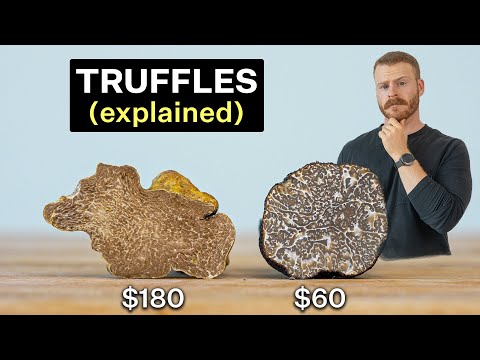 Why are Truffles so expensive? Are they worth it?