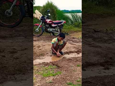 #viral #funny #trending #shortsvideo #shorts