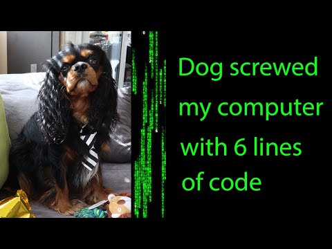 My dog hacked my computer again | #Shorts