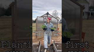 Spring planting has begun #springgardening #springgarden #northcarolinagardening #zone7 #zone8