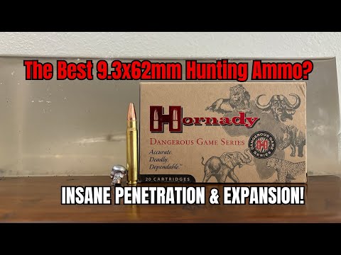 9.3x62mm Gel Test: Surprising Results From Hornady's 9.3x62mm 286gr InterLock Load