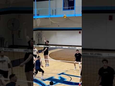 Chaos #volleyball #voleibol #fyp #volleyballworld #rally #highlights  #highlevel #volley #vertical