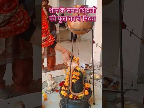 शाम के समय शिव जी पूजा किस प्रकार करनी चाहिए यह है नियम #motivation #upay #shivlingpujanvidhi #viral