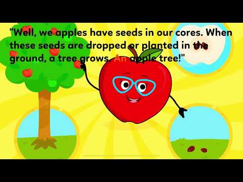 Fruit Tales | How does an apple grow?