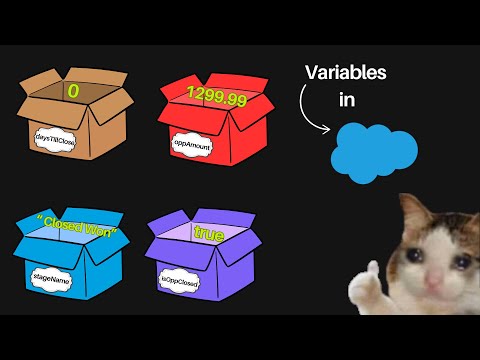(2025) Variables in Apex | Salesforce Development with hands-on practice