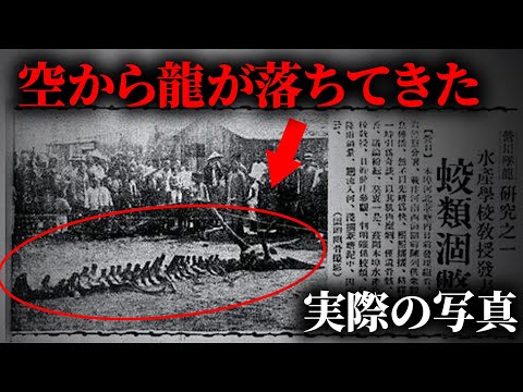 空から龍が落ちてきて、記事にまでなった事件！【ミステリー】