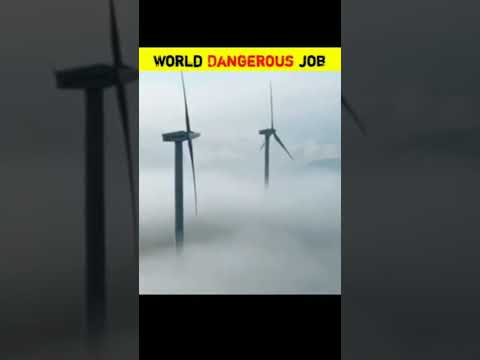 World dangerous job 🤔#shorts #facts ##amazingfacts