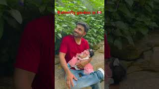 Butterfly garden in canada 🇨🇦#canadalife#canadatamil 🇮🇳#canadababy #dadslittleprincess #babygirl