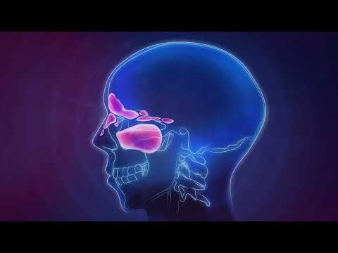 1.8 Hz Sinus Relief | Pure Tone Healing - Binaural Beats & Isochronic Tones ( 15 Minutes)