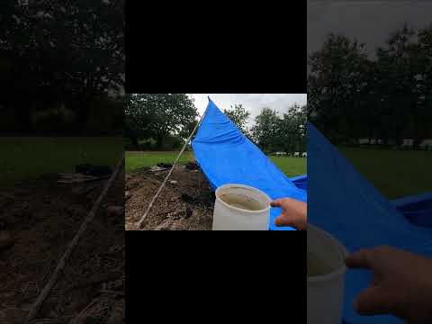 Planting Bamboo 🌿 | DIY Root Grower Hack 💧 | Wood Donation! 🪵💚 #SustainableLiving #DIYGarden #diy