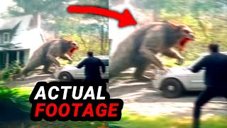 Recent DISTURBING Viral Videos You WON’T Believe!