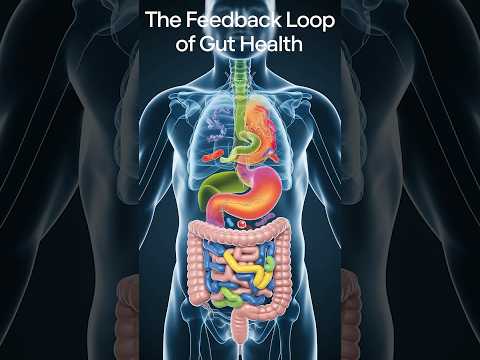 The Feedback Loop of Gut Health