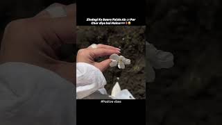 Allah🫀🥺💫 #positivevibes#youtubeshorts#shortsfeed#ytshorts#yt#Allah#zindagi