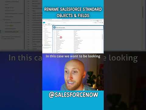 Rename Salesforce Standard Fields & Standard Objects