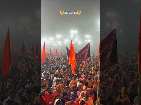 Ye Prayagraj Hai ...#mahakumbh_mela #prayagrajkumbhmela  #कुंभमेला_2025