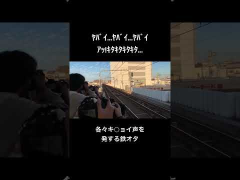 雑色モンキーレールパーク